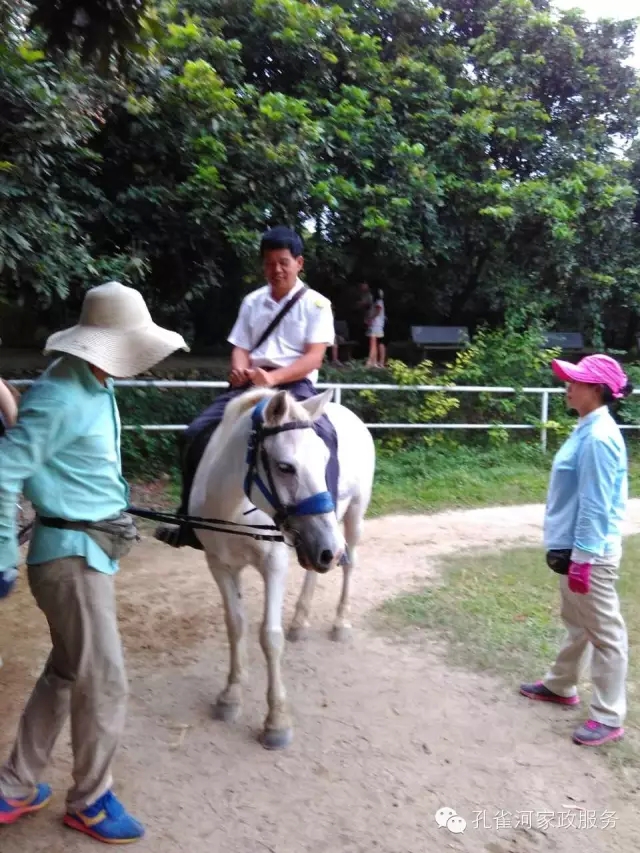 ���ҷ���׌��������á�2015��B�T�м�����(ji��)�����