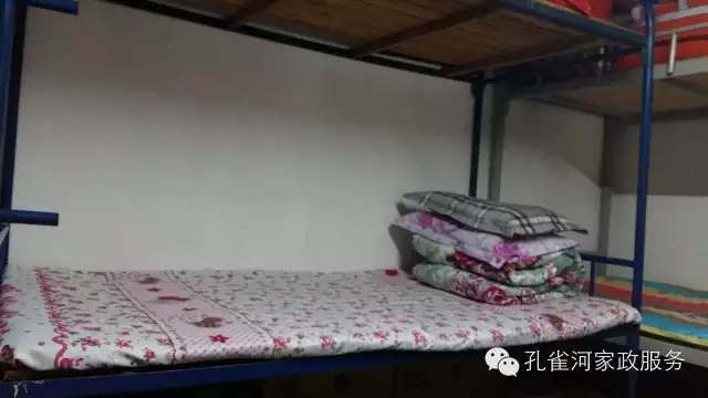 ��ȸ�Ӽ�����ķ������ů��ů�����ģ�