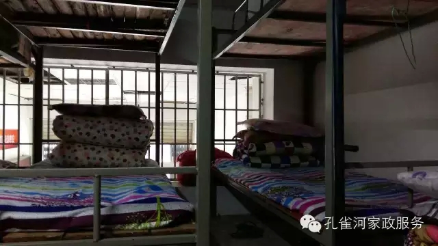 ��ȸ�Ӽ�����ķ������ů��ů��������