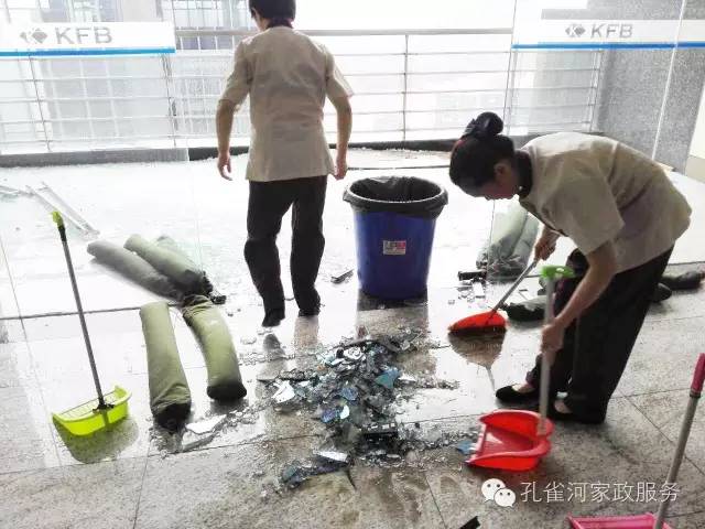 ��������y���������