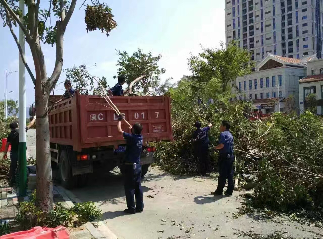 廈門(mén)家政公司接力災(zāi)后重建義工活動(dòng)